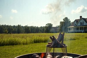 CSI Georgia: A Sizzling Hot Case of BBQ Gone Wrong
